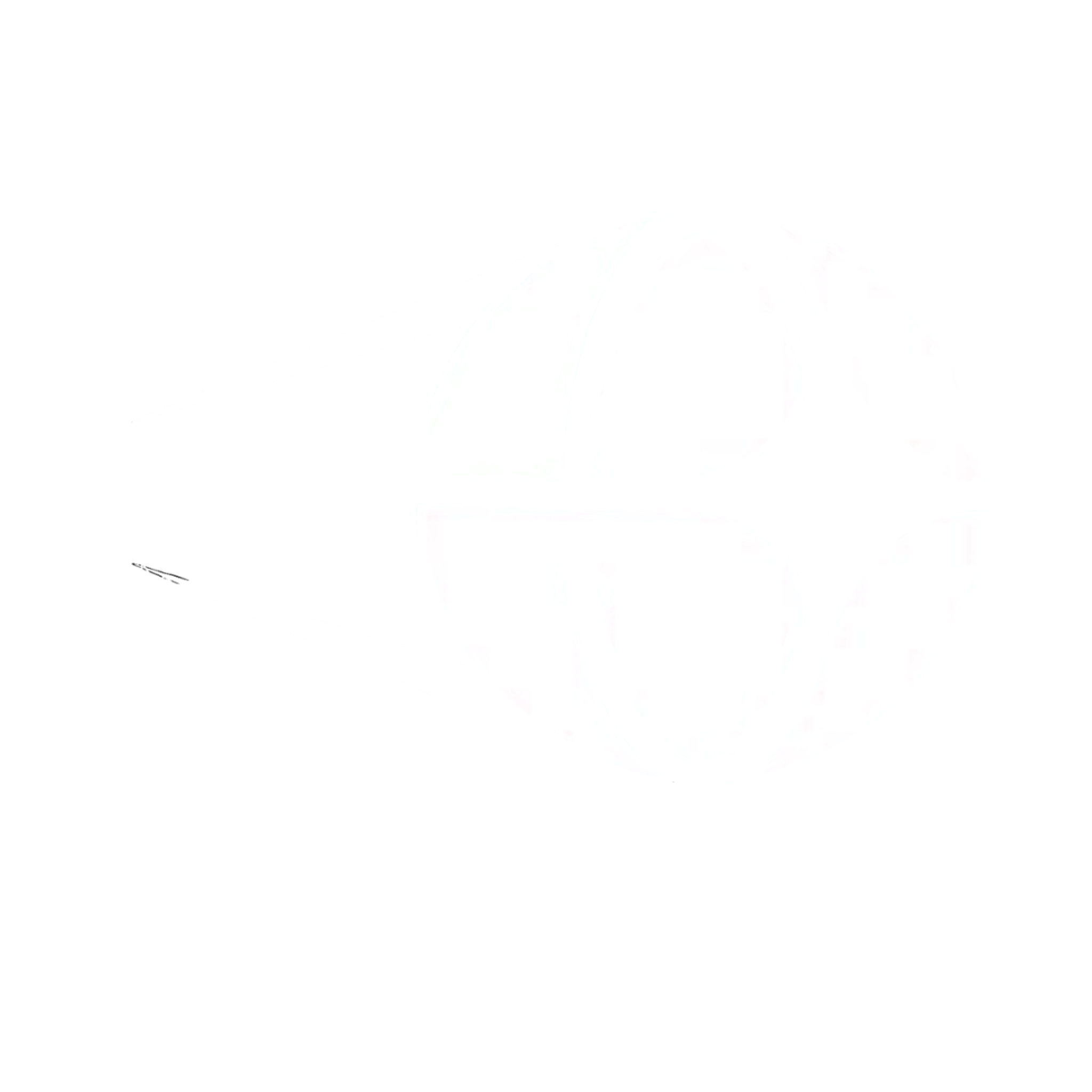 PadelMate Logo